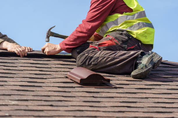 Best Roof Waterproofing Services  in Mledgevle, IL