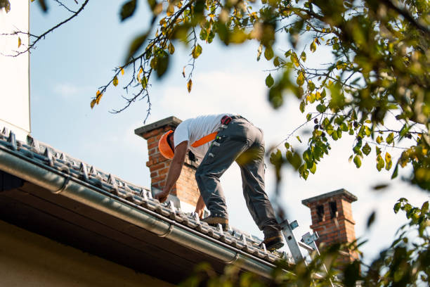 Quick and Trustworthy Emergency Roof Repair Services in Milledgeville, IL
