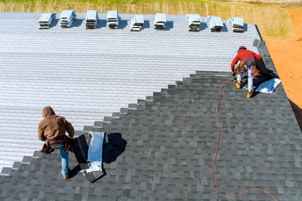 Best Roof Leak Repair  in Mledgevle, IL