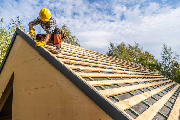 Best Roof Gutter Cleaning  in Mledgevle, IL