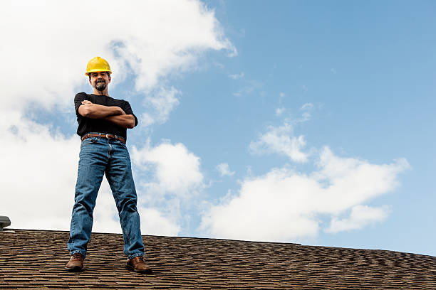 Best Affordable Roof Replacement  in Mledgevle, IL